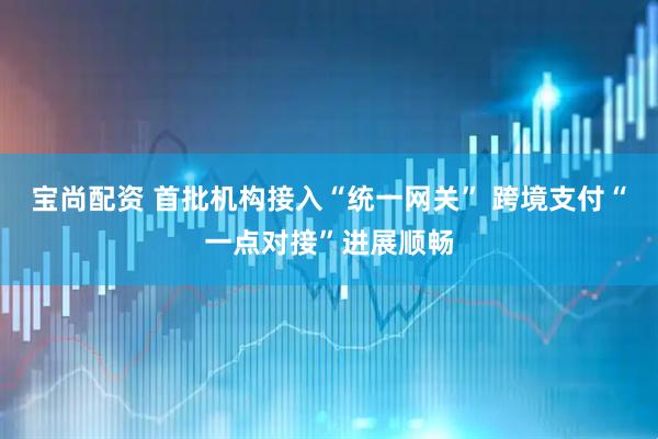 宝尚配资 首批机构接入“统一网关” 跨境支付“一点对接”进展顺畅