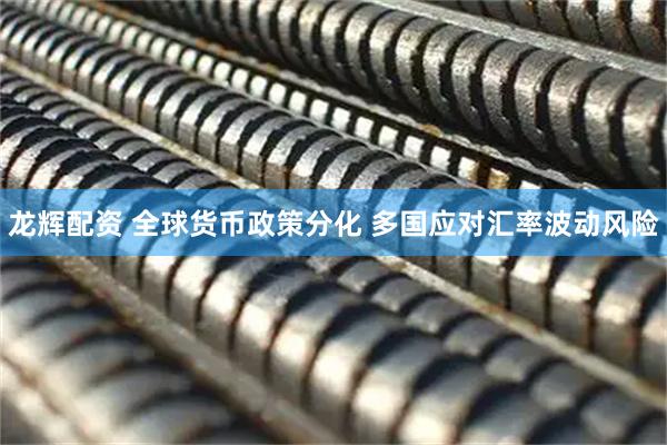 龙辉配资 全球货币政策分化 多国应对汇率波动风险