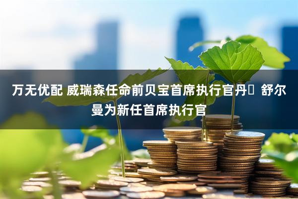 万无优配 威瑞森任命前贝宝首席执行官丹・舒尔曼为新任首席执行官