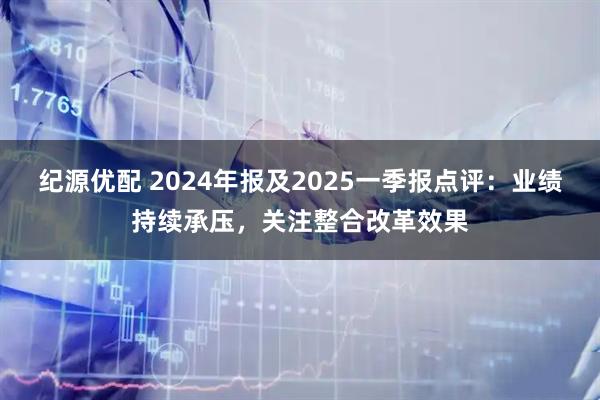 纪源优配 2024年报及2025一季报点评：业绩持续承压，关注整合改革效果