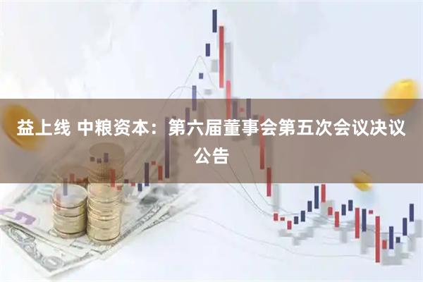益上线 中粮资本：第六届董事会第五次会议决议公告