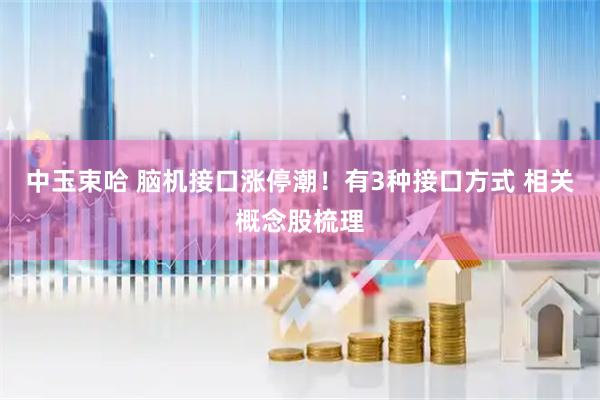 中玉束哈 脑机接口涨停潮！有3种接口方式 相关概念股梳理
